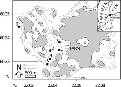 16S and 18S rRNA Gene Metabarcoding Provide Congruent Information on the Responses of Sediment Communities to Eutrophication